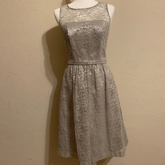 Dessy Collection Dresses & Skirts - Dessy Collection Vivian Diamond Silver Lace Dress